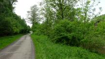  Blick auf die Wanderstrecke entlang der Mank 